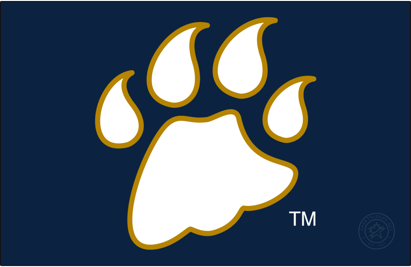 Quinnipiac Bobcats 2002-2017 Secondary Logo v3 diy DTF decal sticker